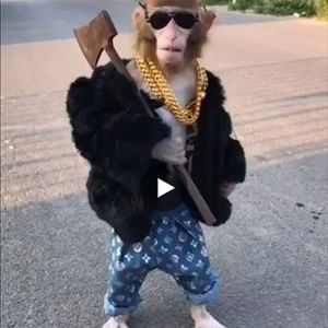 Meet your Posher, Cesar